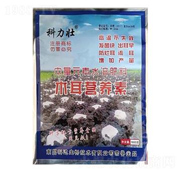 ����Ԫ��ˮ�ܷ���-�����ѡ�ľ���I(y��ng)�B(y��ng)��-���_(d��)����