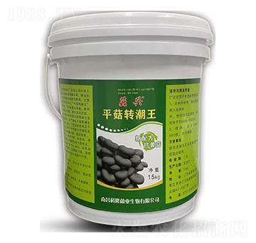 平菇轉(zhuǎn)潮王-菇興-科達生物