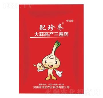 大蒜高產(chǎn)三遍藥-配珍齊-諾倍加農(nóng)業(yè)