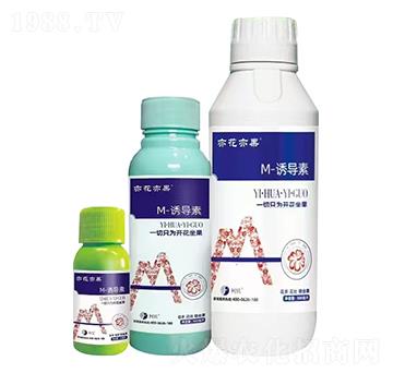 M-�T��(d��o)��-�໨���-����֮�G