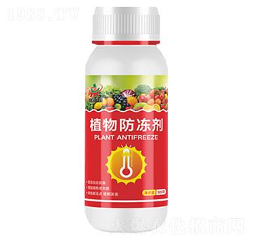 ֲ�������-������