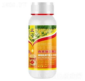 ���������S��΢�������-������