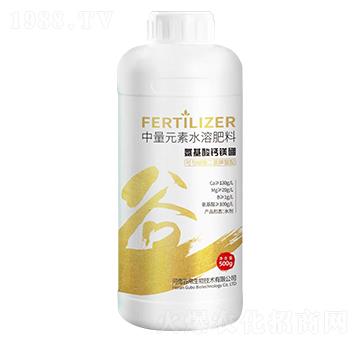 �������}�V��-�Ȳ�����