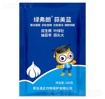 蒜美藍(lán)-綠弗朗-清正作物