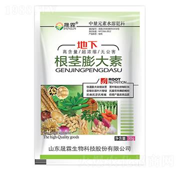 ���o�����-��������