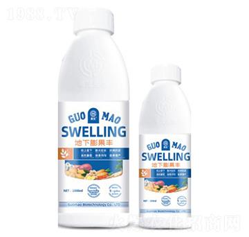 地下膨果豐-果茂生物