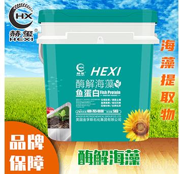 ø�⺣���~���ף�5kg��-�խt