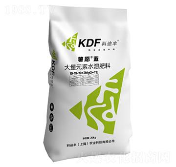 大量元素水溶肥料19-19-19+2MgO+TE-薯愿藍-科迪豐