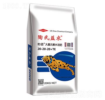 ����Ԫ��ˮ�ܷ���20-20-20+MgO+TE-���F-�������r(n��ng)