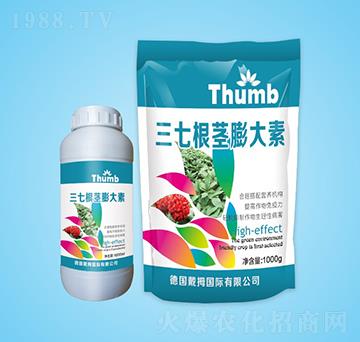 ���߸��o�����-����r(n��ng)�I(y��)