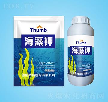 �����-����r(n��ng)�I(y��)