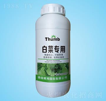 �ײˌ���ˮ�ܷ�-����r(n��ng)�I(y��)