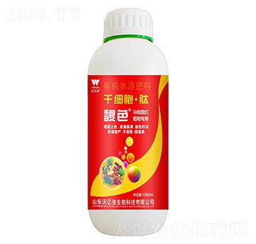 �ɼ�(x��)������-�ɫ-�֠���(y��u)