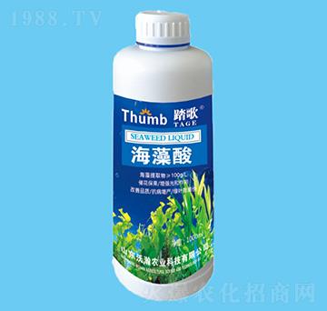 ������-̤��-����r(n��ng)�I(y��)