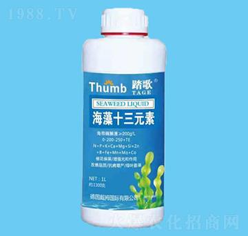 ����ʮ��Ԫ��-̤��-����r(n��ng)�I(y��)