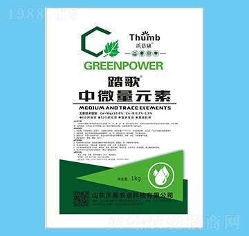 ̤�衤��΢��Ԫ��-������-����r(n��ng)�I(y��)