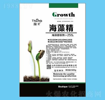 500g���徫-��l(w��i)-����r(n��ng)�I(y��)