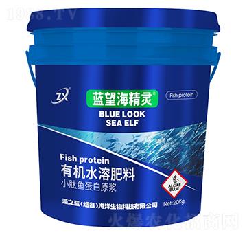 小肽魚蛋白原漿-藍望海精靈-藻之藍