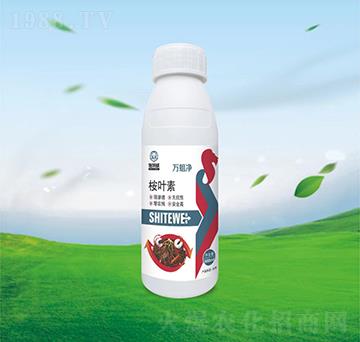 500ml���~��-�f����-ʩ����