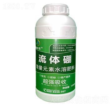 ���w��-���~��