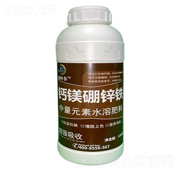 �}�V���\�F-���~��