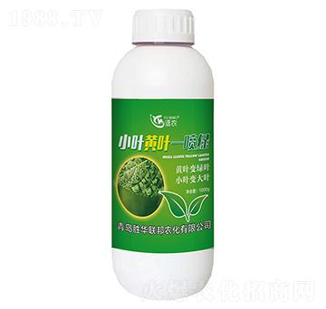 小葉黃葉—噴綠-語(yǔ)農(nóng)-勝華聯(lián)邦