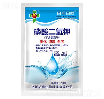 ��������-����ｳ-��ϲ