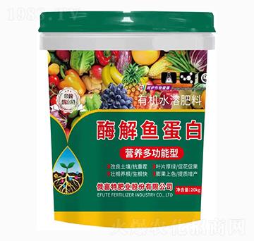 營(yíng)養(yǎng)多功能型酶解魚(yú)蛋白-俄富特肥業(yè)