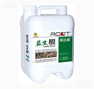 �������_ʩ��-���_(d��)���ʘI(y��)