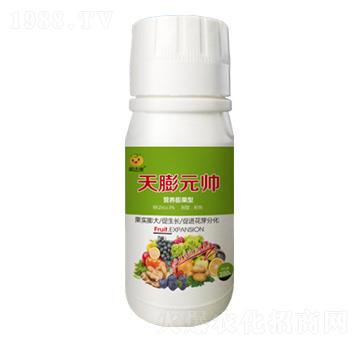 100g營養(yǎng)膨果型葉面肥-天蓬元帥-果達(dá)康肥業(yè)