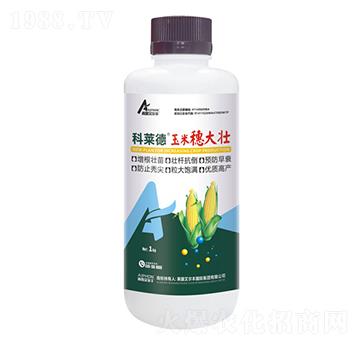 玉米穗大壯-科萊德-雨露艾爾豐