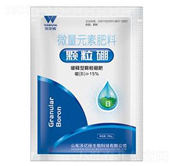 ������w�����-�֠���(y��u)