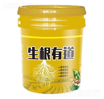 生根有道-海沃豐-海沃達生物