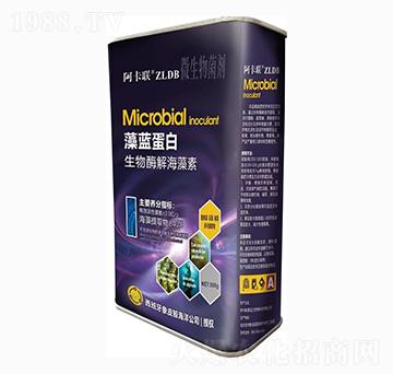 ����ø�⺣����-���{����-����(li��n)-��˹�r(n��ng)