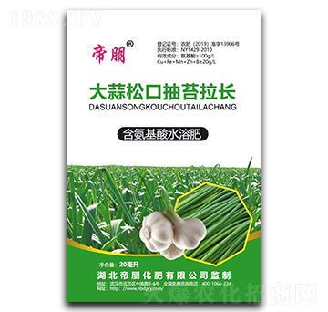 大蒜抽薹拉長劑含氨基酸水溶肥料-帝朋-楓潤農業(yè)