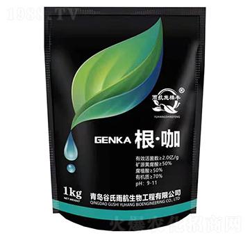 根·咖-谷氏雨航