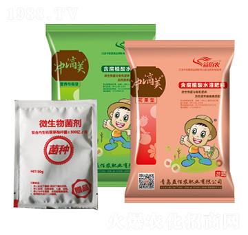 ������+�I�B(y��ng)�����ʹ���