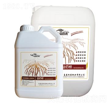 微生物菌肥-益佰根-益佰農(nóng)肥業(yè)