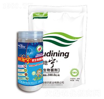 微生物菌種-扶地寧-益佰農(nóng)肥業(yè)