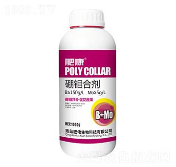 硼鉬合劑-肥康-肥佬生物