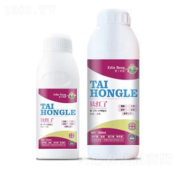 鈦紅了-愛(ài)丁邦普