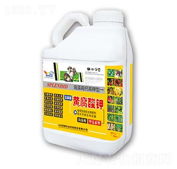 �������S�����-�sҫ�r�I(y��)