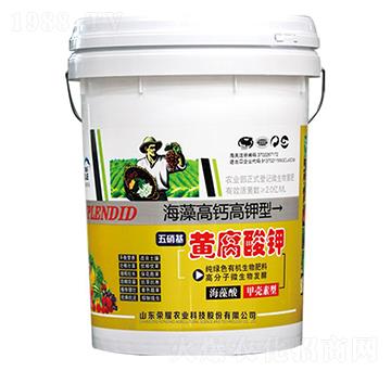 �S�����-�sҫ�r�I(y��)