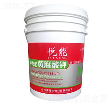 �ך����S�����-����-�sҫ�r�I(y��)