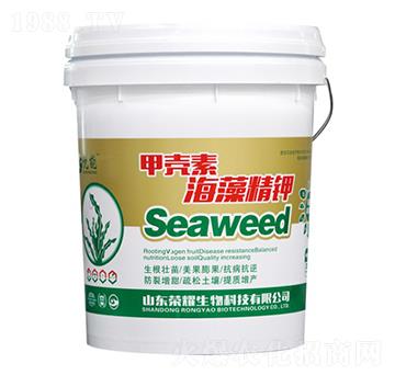 �ך��غ��徫�-����-�sҫ�r�I(y��)