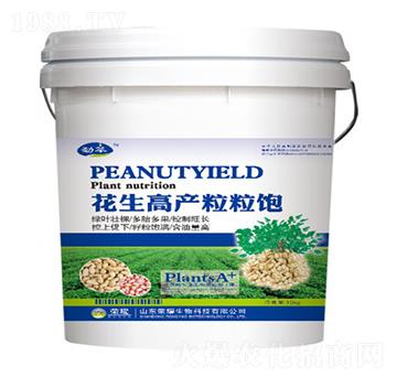 �����߮a�����-����-�sҫ�r�I(y��)