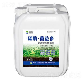 ̼ø�������-ِʩ��-�sҫ�r�I(y��)