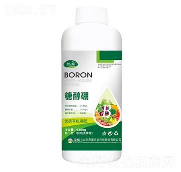 �Ǵ���-����-�sҫ�r(n��ng)�I(y��)