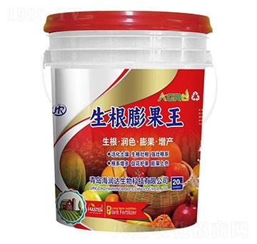 生根膨果王-海潤達(dá)生物