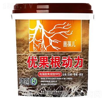 優(yōu)果根動力-華創(chuàng)